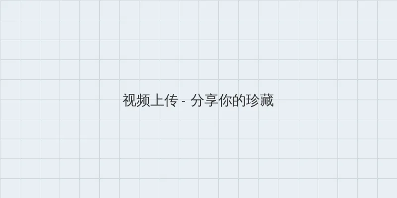 殷世航何婧婧 视频上传区域